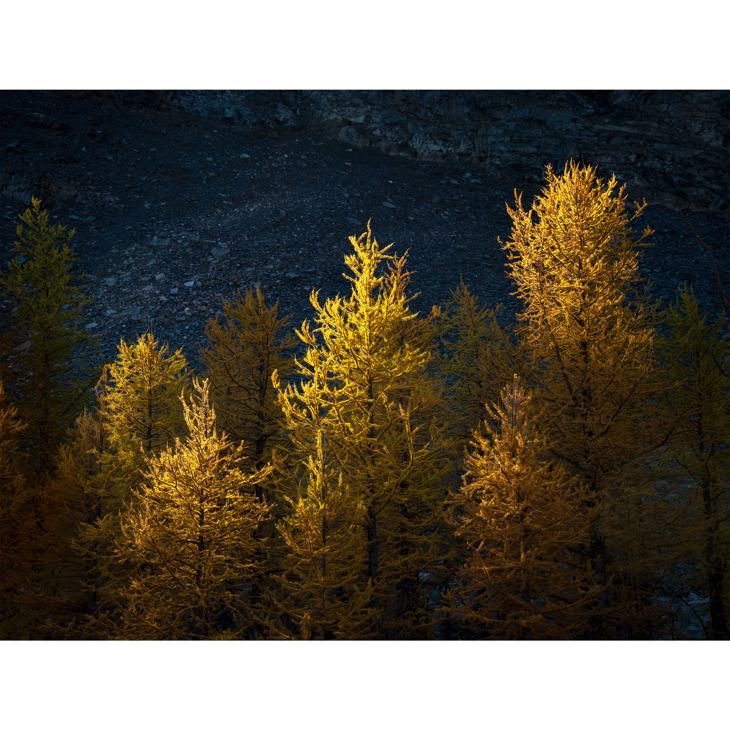 Canadian Rockies — Nature and Landscape Photography Print Shop